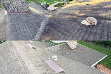 Roof Soft Wash in St. Augustine, FL